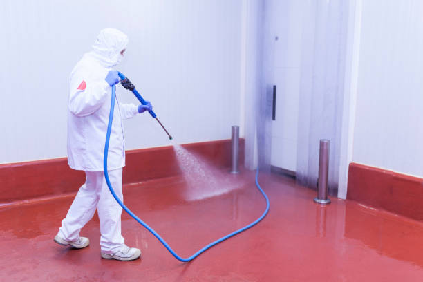 Best Dumpster Area Cleaning  in Greenlawn, NY